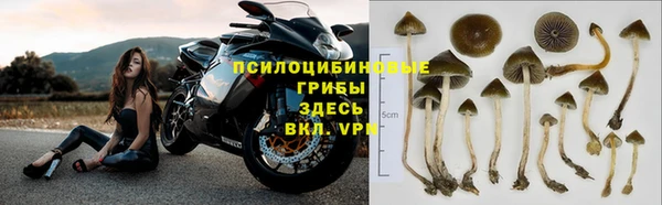 каннабис Заволжск