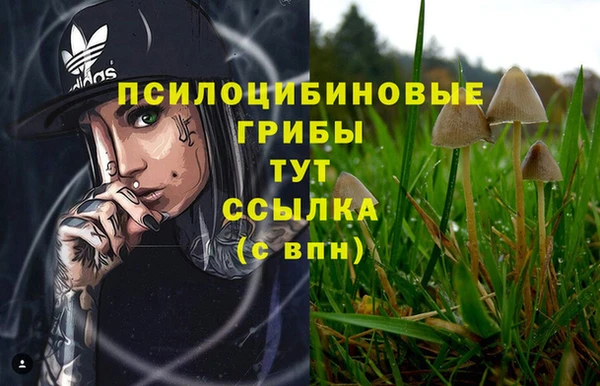 трава Зеленокумск