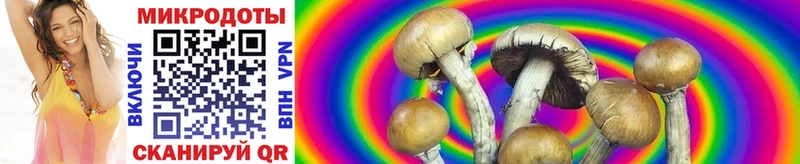 Купить где  Красновишерск  Псилоцибиновые грибы MAGIC MUSHROOMS 